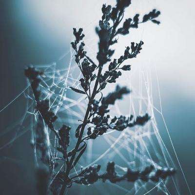 BB贝博平台登录app下载手机版